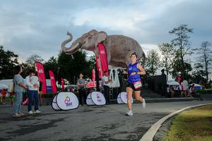 BIB: 
                            <button type="button" onclick="openModal(26529406)" class="btn btn-primary btn-sm float-right btn-popup" data-toggle="modal" data-target=".modal-high-quality">
                        <i class="fas fa-shopping-cart"></i> Add to Cart
                    </button>
                                            <button type="button" onclick="isThisMe(26529406, true)" class="btn btn-success btn-sm float-right btn-popup btn-isme hidden" data-toggle="tooltip" data-placement="bottom" title="นี่คือรูปของคุณใช่ไหม คลิกที่นี่เพื่อเอาเข้าอัลบั้ม">
                        <i class="fas fa-plus"></i> Add to album
                    </button>
                    <button type="button" onclick="isThisMe(26529406, false)" class="btn btn-warning btn-sm float-right btn-popup btn-isnotme hidden">
                        <i class="fas fa-ban"></i> Remove from album
                    </button>